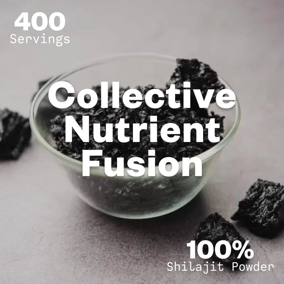Shilajit Powder 12:1 Extract 100g T151