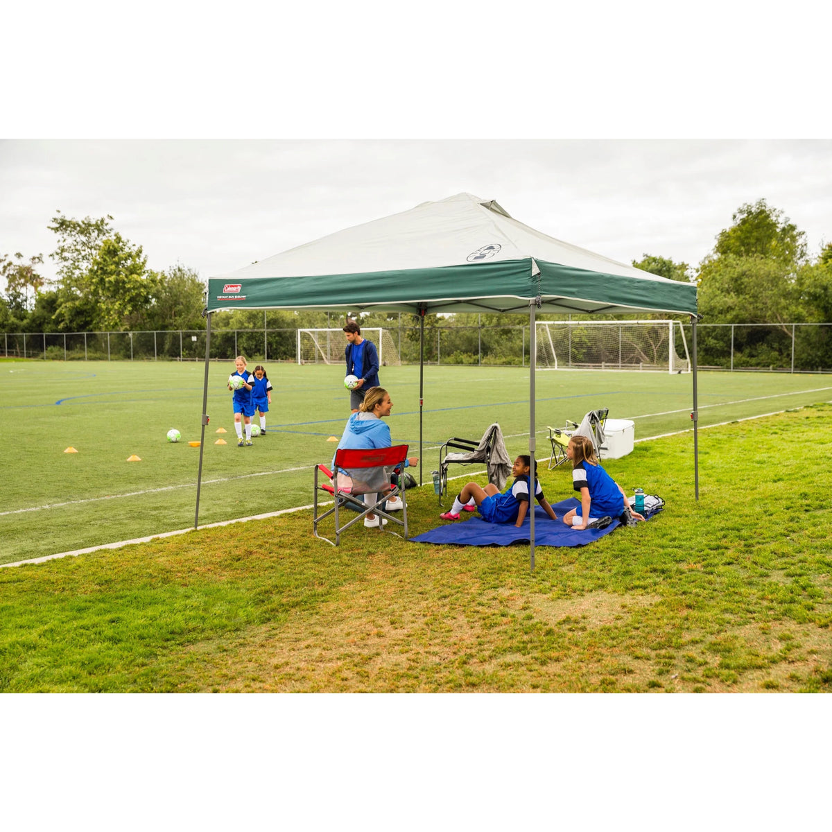 10 x 10 Tan Black Canopy Shelter N8246