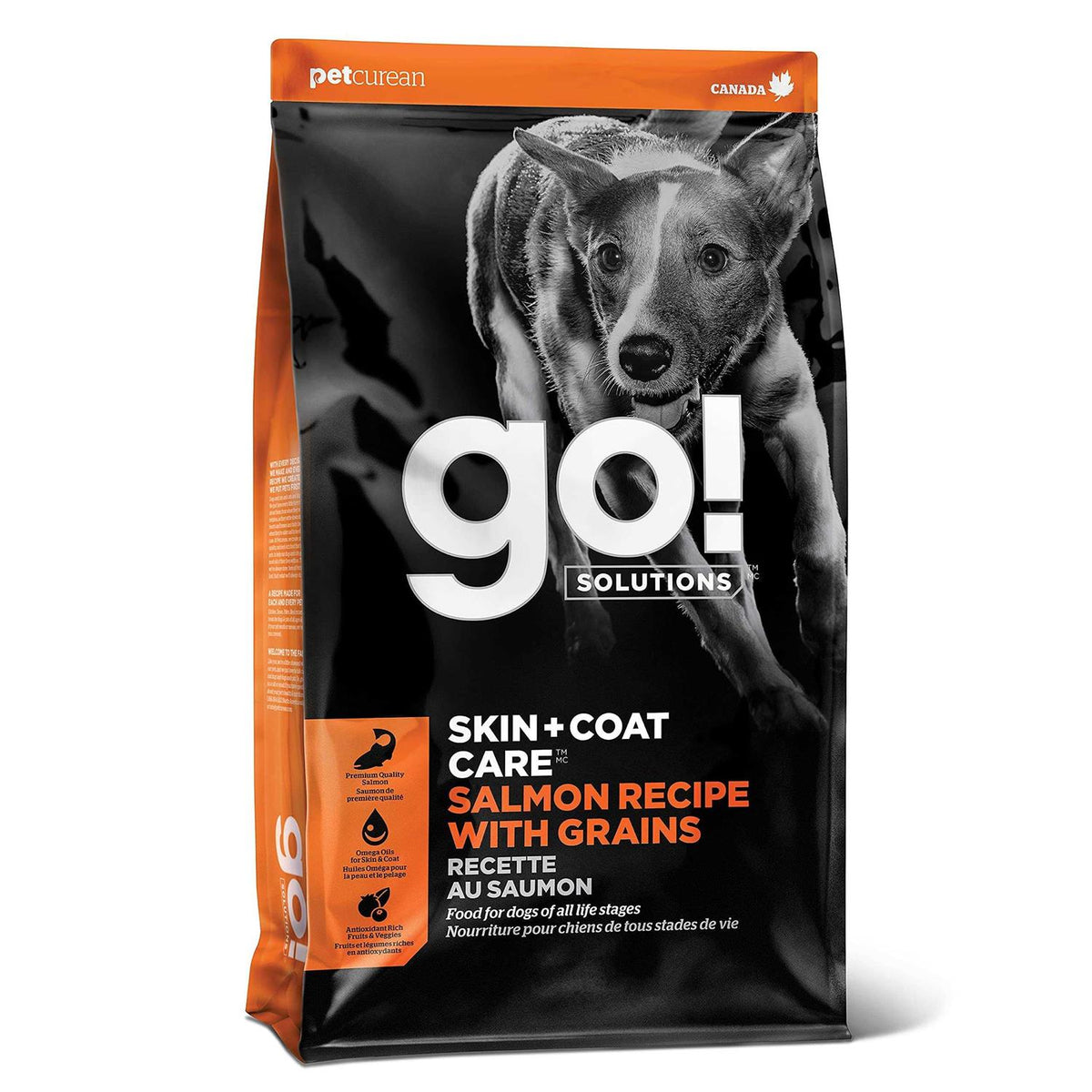 Salmon Recipe Dry Dog Food S9371