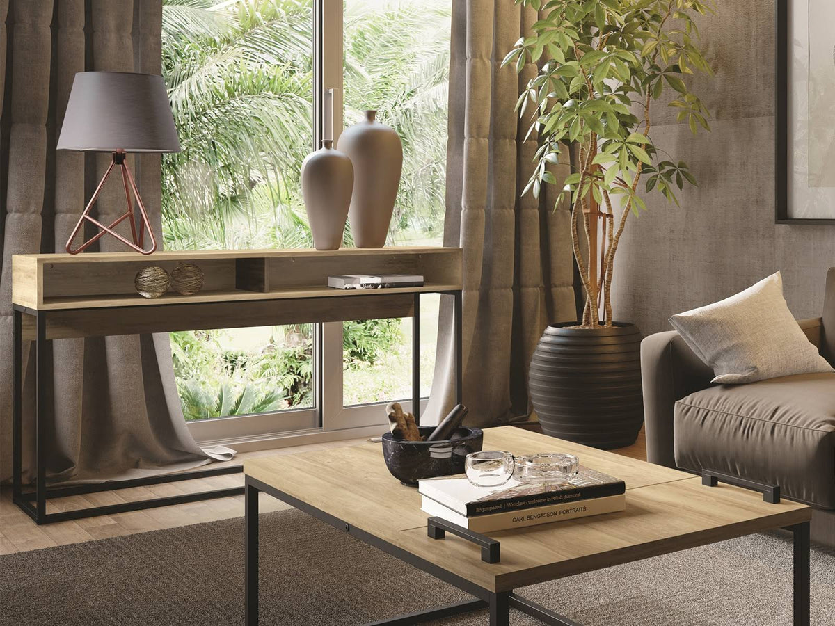 Console Table with Black Metal Frame W7652