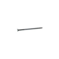 2-1/2 in. Bright Steel Common Nail 50 lb. Q836644