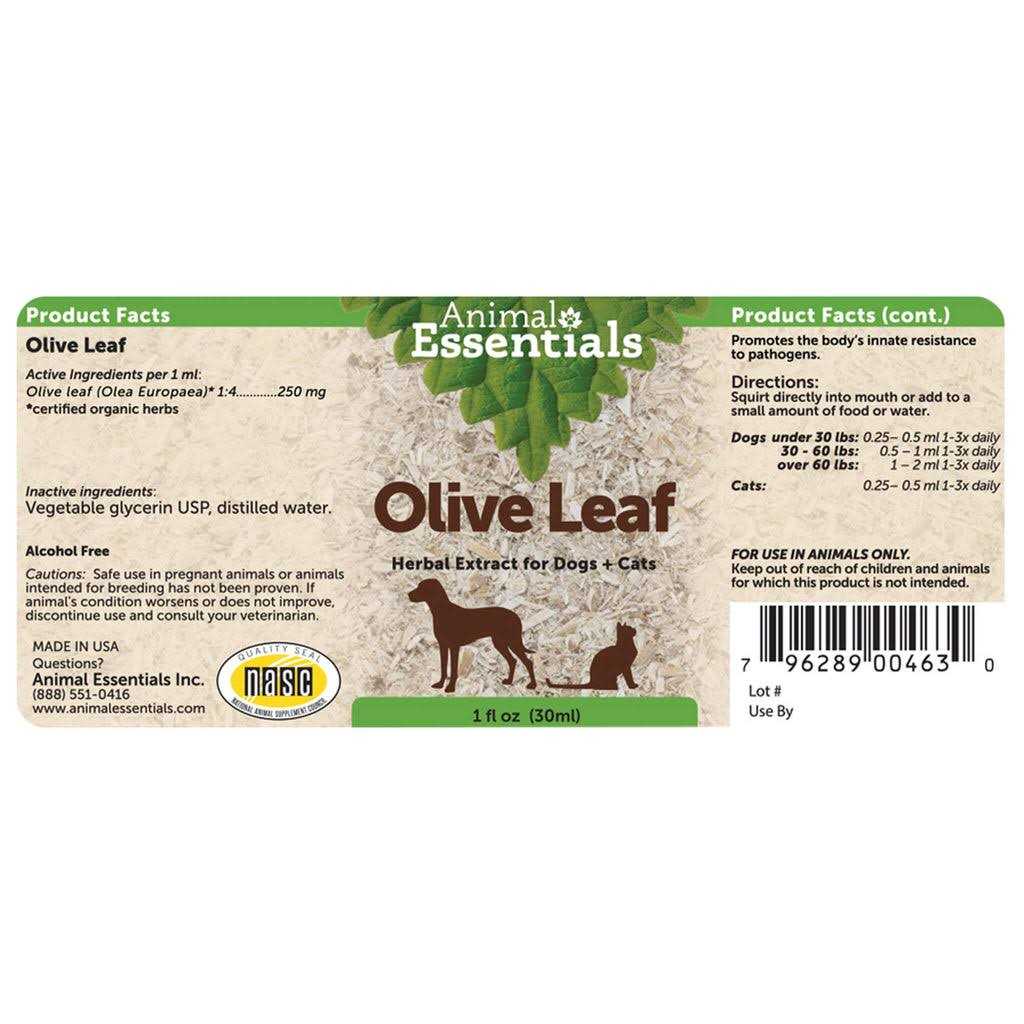 Olive Leaf Herbal Extract X72970