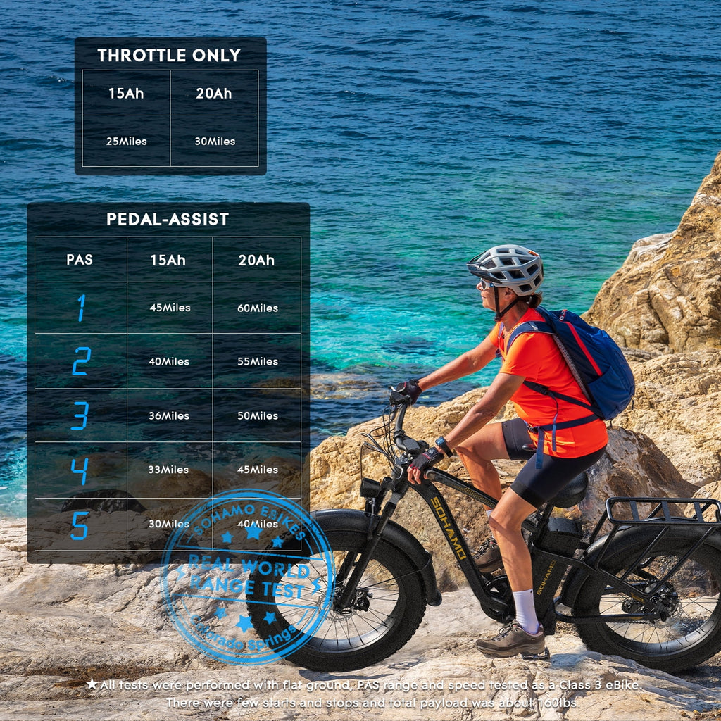 Foldable 20 Fat Tire Electric Bike with 750W Motor B7326