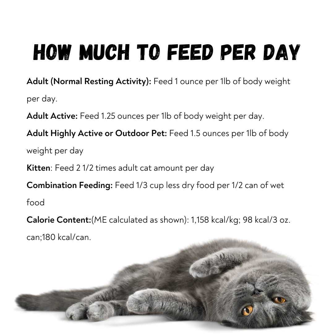 96% Pate Cat Food M901880