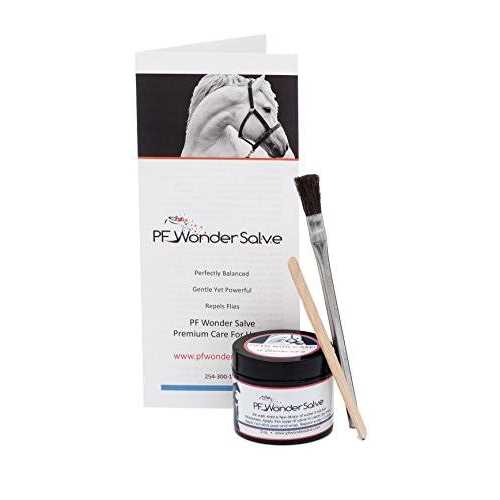 2 oz. Equine Wound Paste R481671