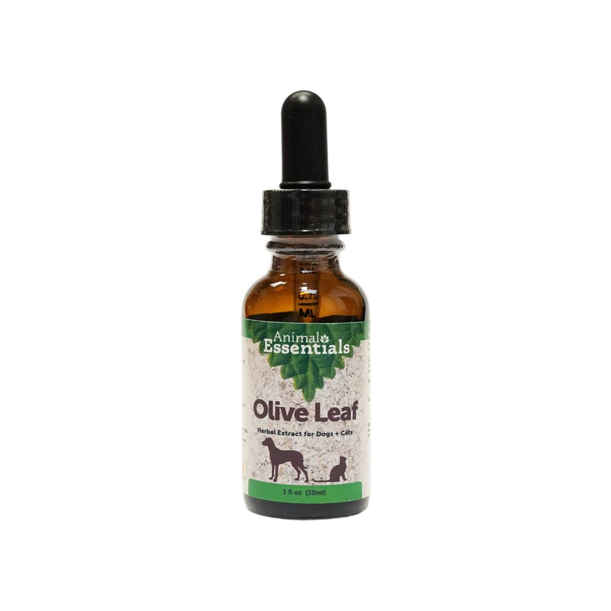 Olive Leaf Herbal Extract X72970
