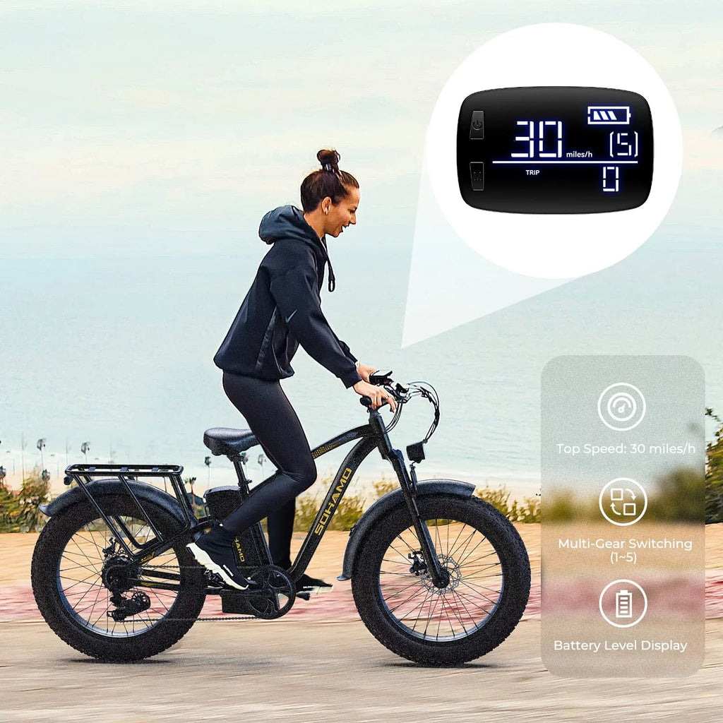 Foldable 20 Fat Tire Electric Bike with 750W Motor B7326