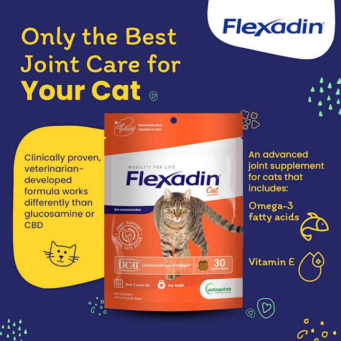 Cat Joint Supplement Chews with UC-II A17169