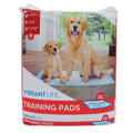XL Training Pads C3360