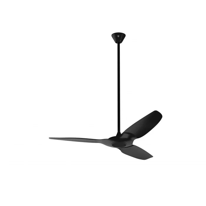 Black Ceiling Fan K581
