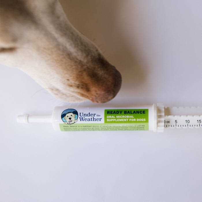 Ready Balance for Dogs P42632
