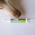 Ready Balance for Dogs P42632