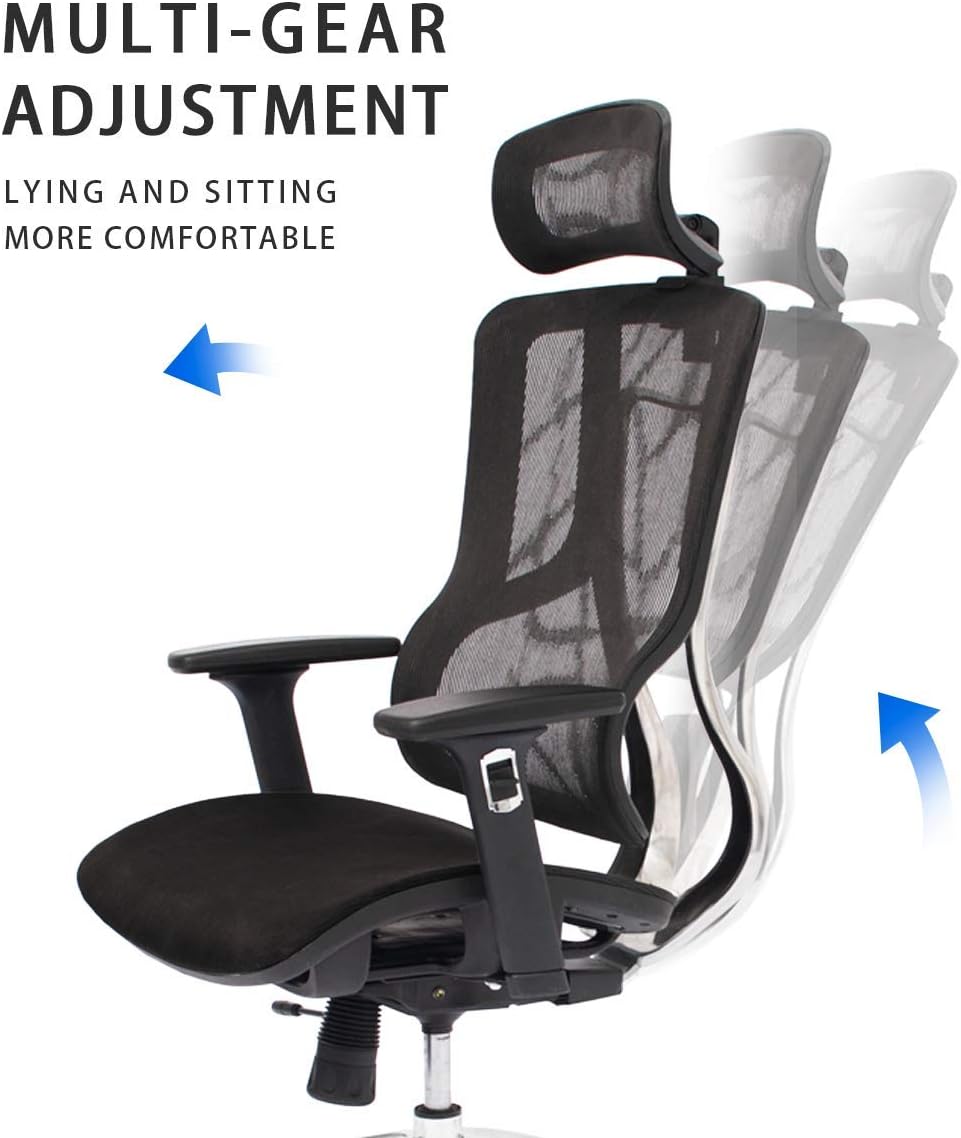 Black Ergonomic Mesh High Back Office Chair with Adjustable Headrest and Armrest C44023