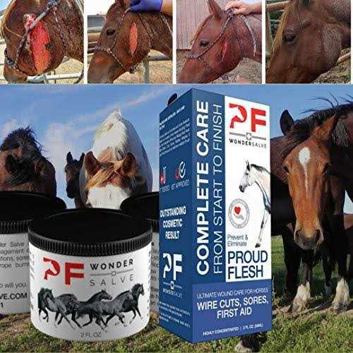 2 oz. Equine Wound Paste R481671