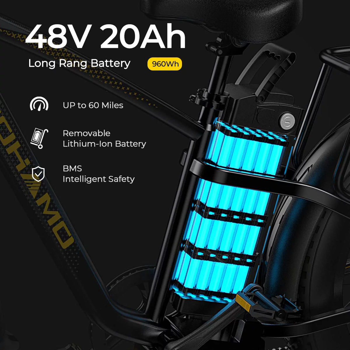 Foldable 20 Fat Tire Electric Bike with 750W Motor B7326