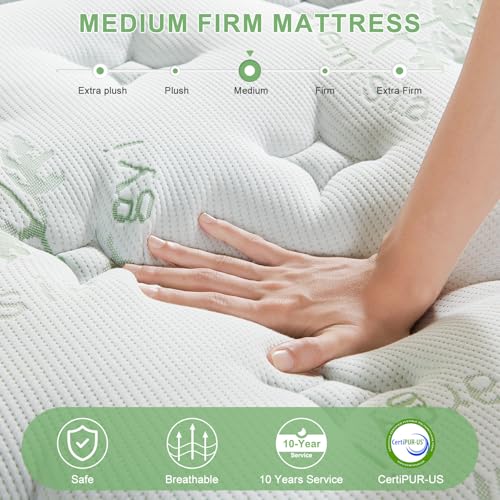 12 Inch Full Size Memory Foam Hybrid Mattress D701