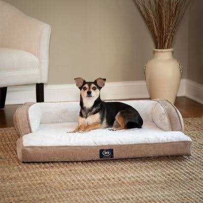 XL Sleeper Sofa Pet Bed B862