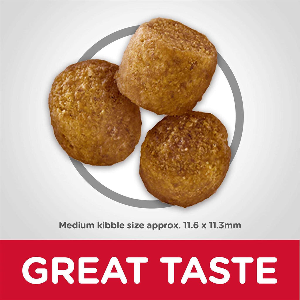 Adult Chicken Dog Food D65762
