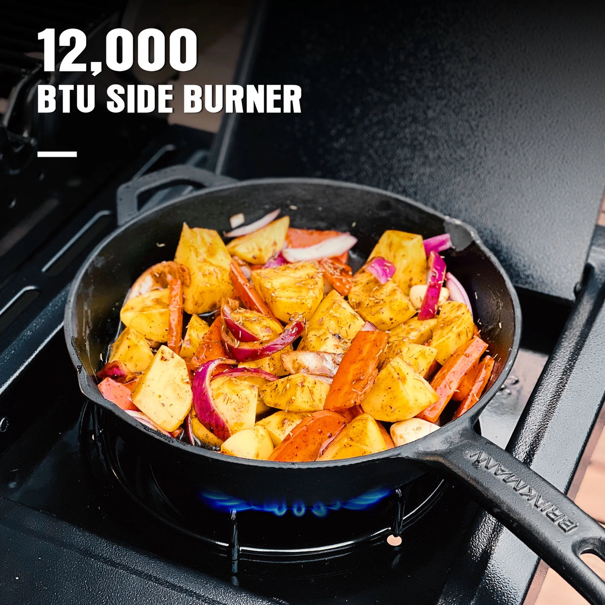 4 Burner Propane Gas Grill with Side Burner Q615