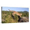 Mountain Lion Jumping Art Print G537