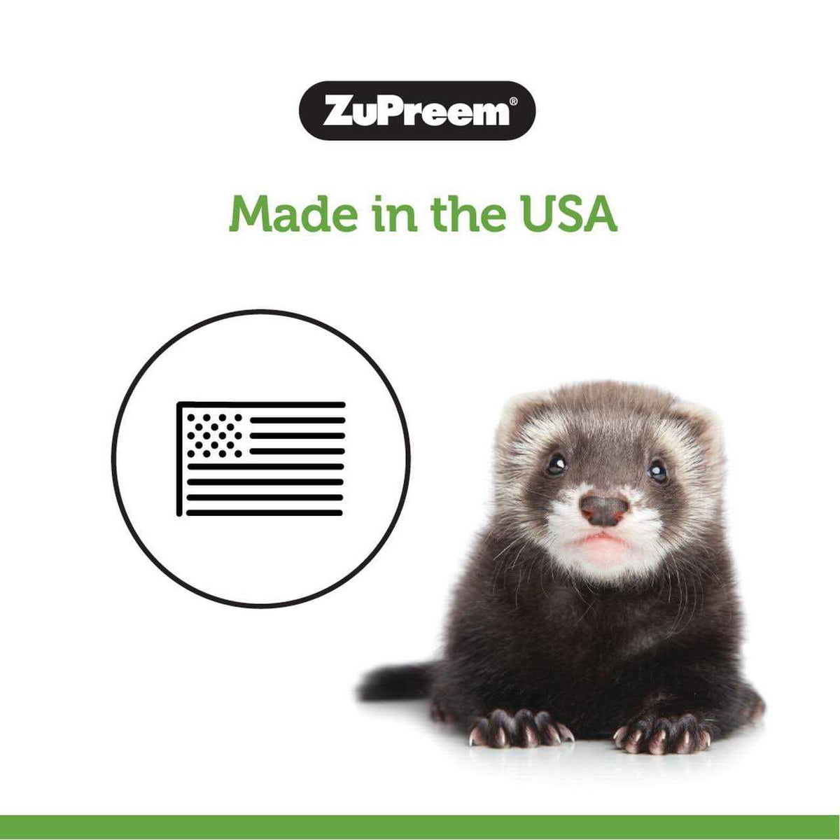Premium Ferret Diet F191