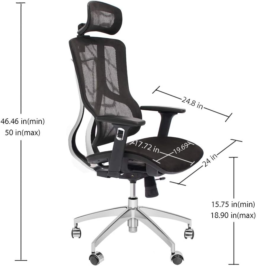 Black Ergonomic Mesh High Back Office Chair with Adjustable Headrest and Armrest C44023