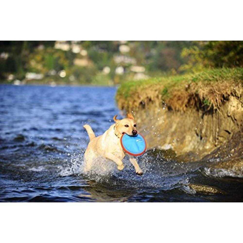 Dog Toy R757442