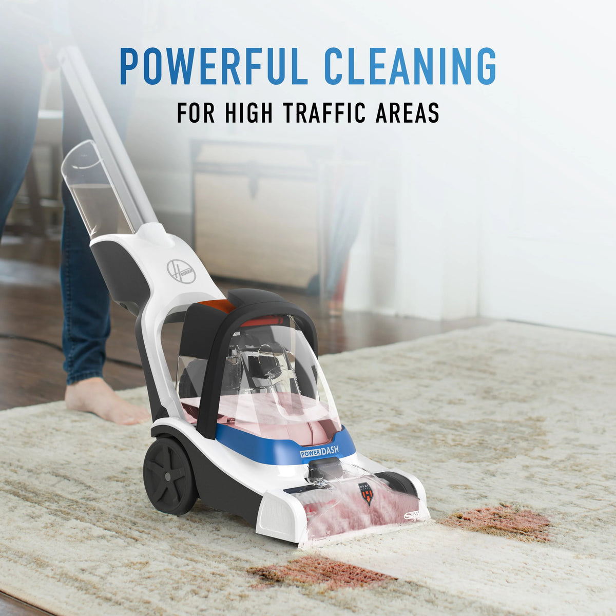 Compact Pet Carpet Cleaner G887