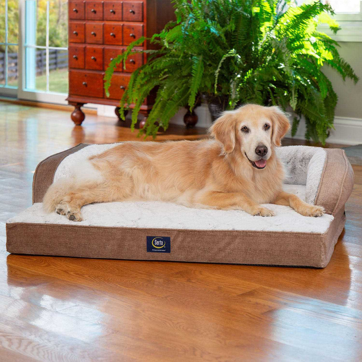 XL Sleeper Sofa Pet Bed B862