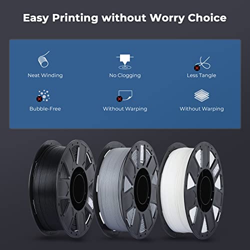 1.75mm Rainbow PLA+ 3D Printer Filament 1kg Spool V2311