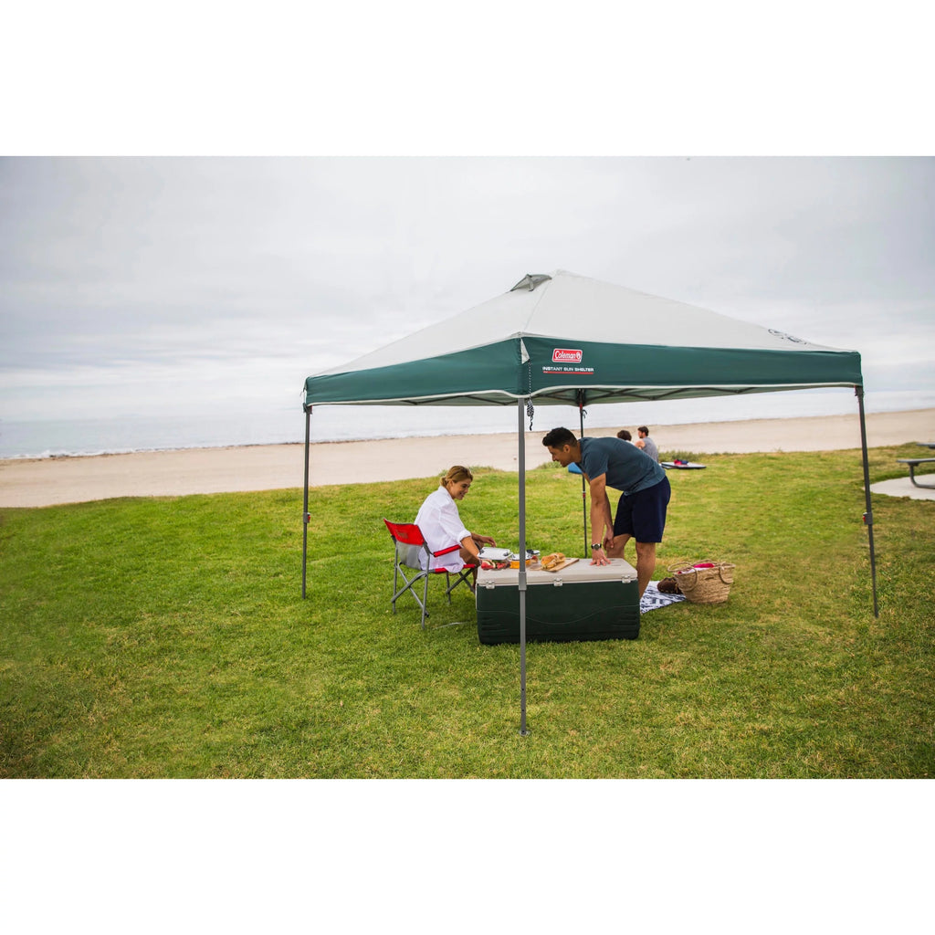 10 x 10 Tan Black Canopy Shelter N8246