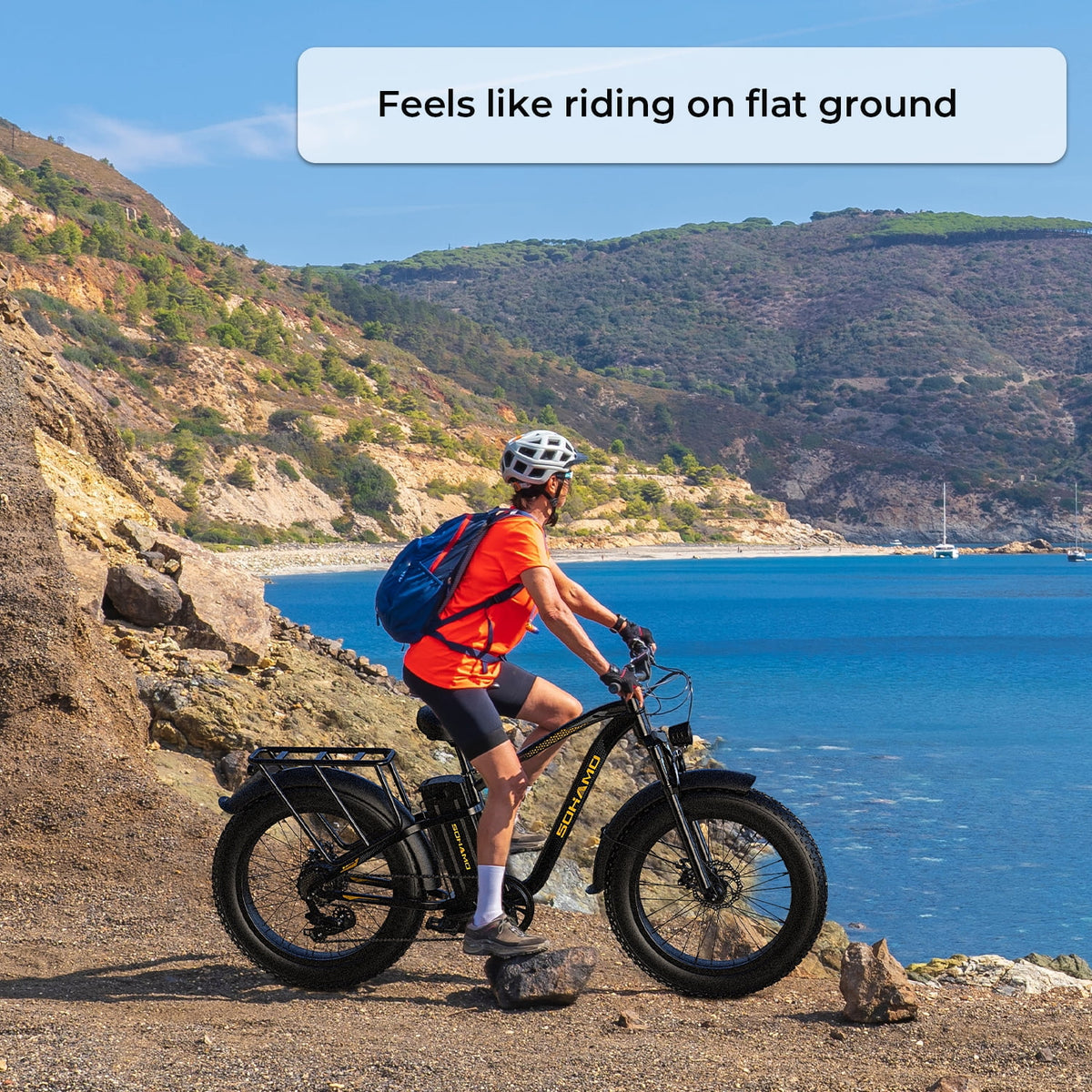 Foldable 20 Fat Tire Electric Bike with 750W Motor B7326