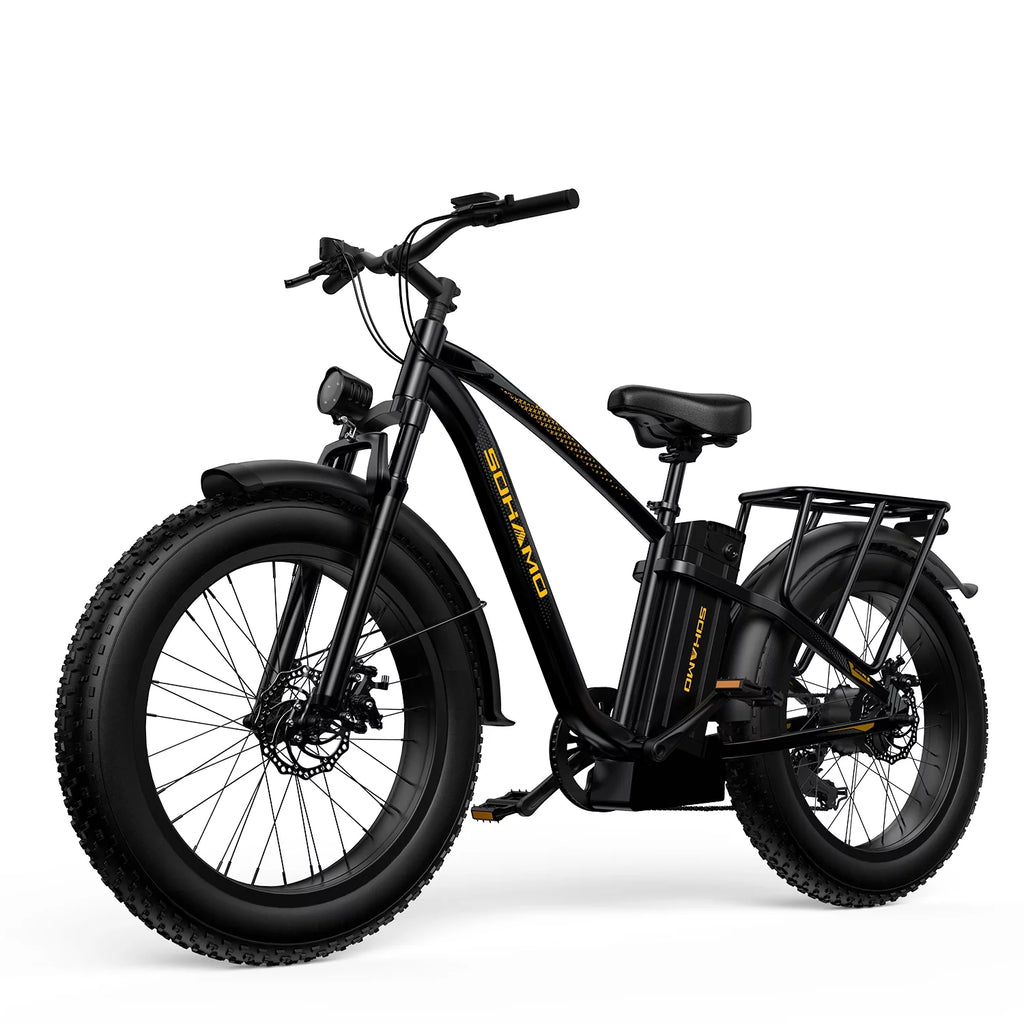 Foldable 20 Fat Tire Electric Bike with 750W Motor B7326
