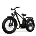 Foldable 20 Fat Tire Electric Bike with 750W Motor B7326