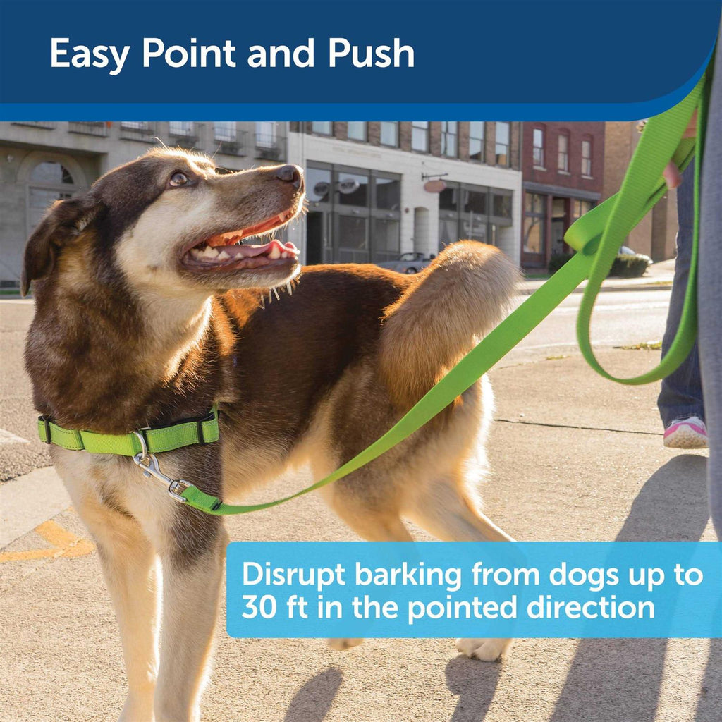 Ultrasonic Remote Dog Trainer R500