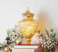 Illuminated Mercury Glass Apothecary Jar L1910