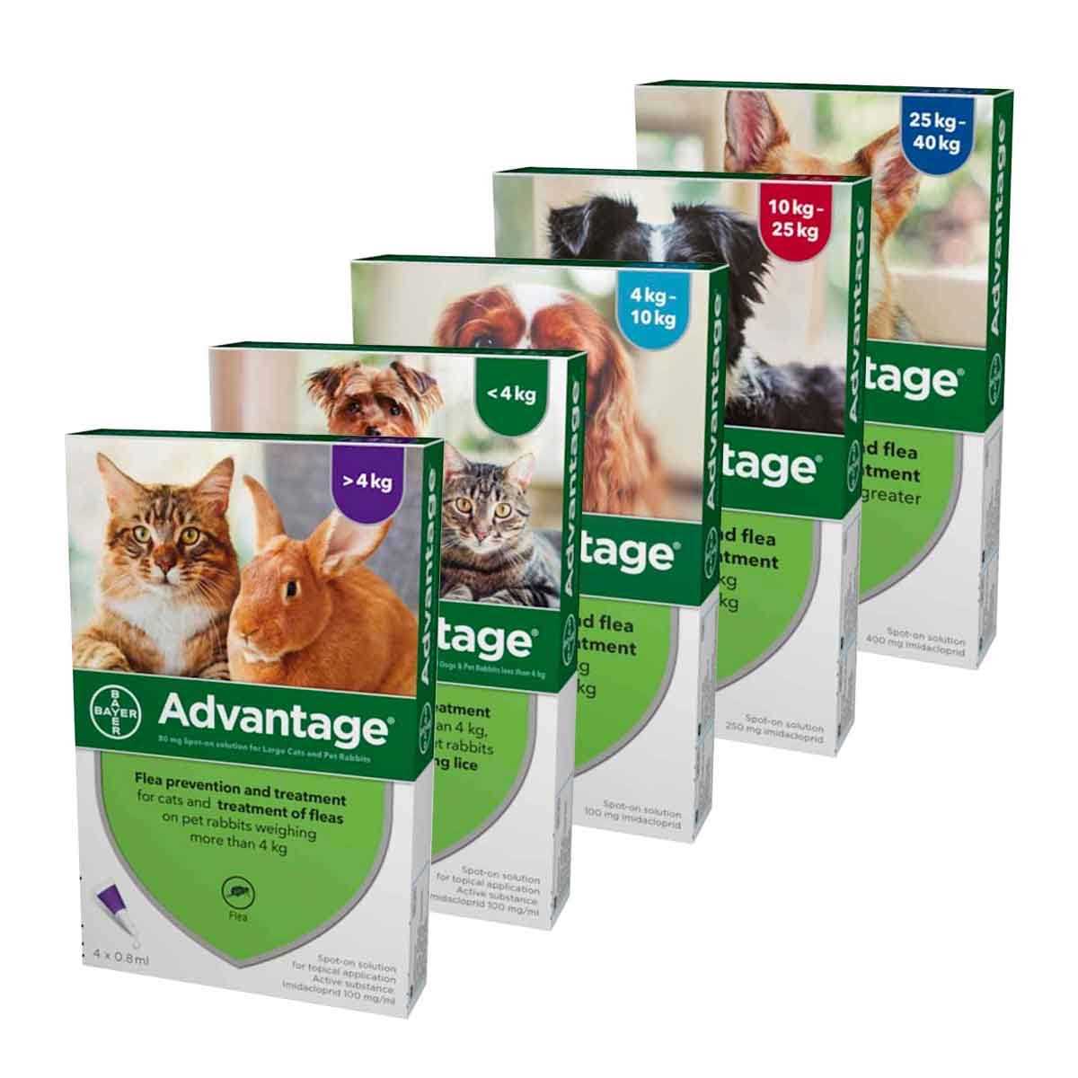 Spot-On for Small Cats H4575