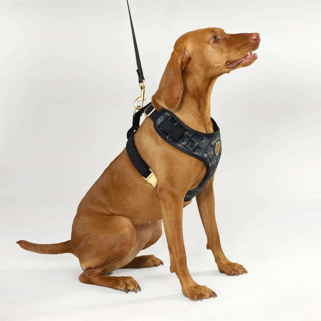 Quilted Pet Harness Y768