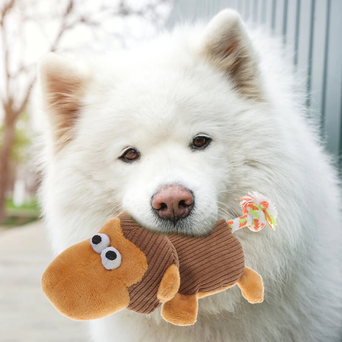 Plush Monkey Dog Chewing Toys E90200