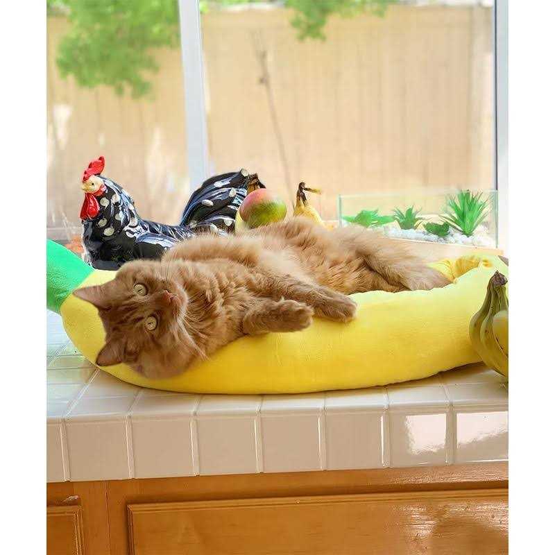 Banana Shape Washable Dog Bed with Removable Cushion Y616541