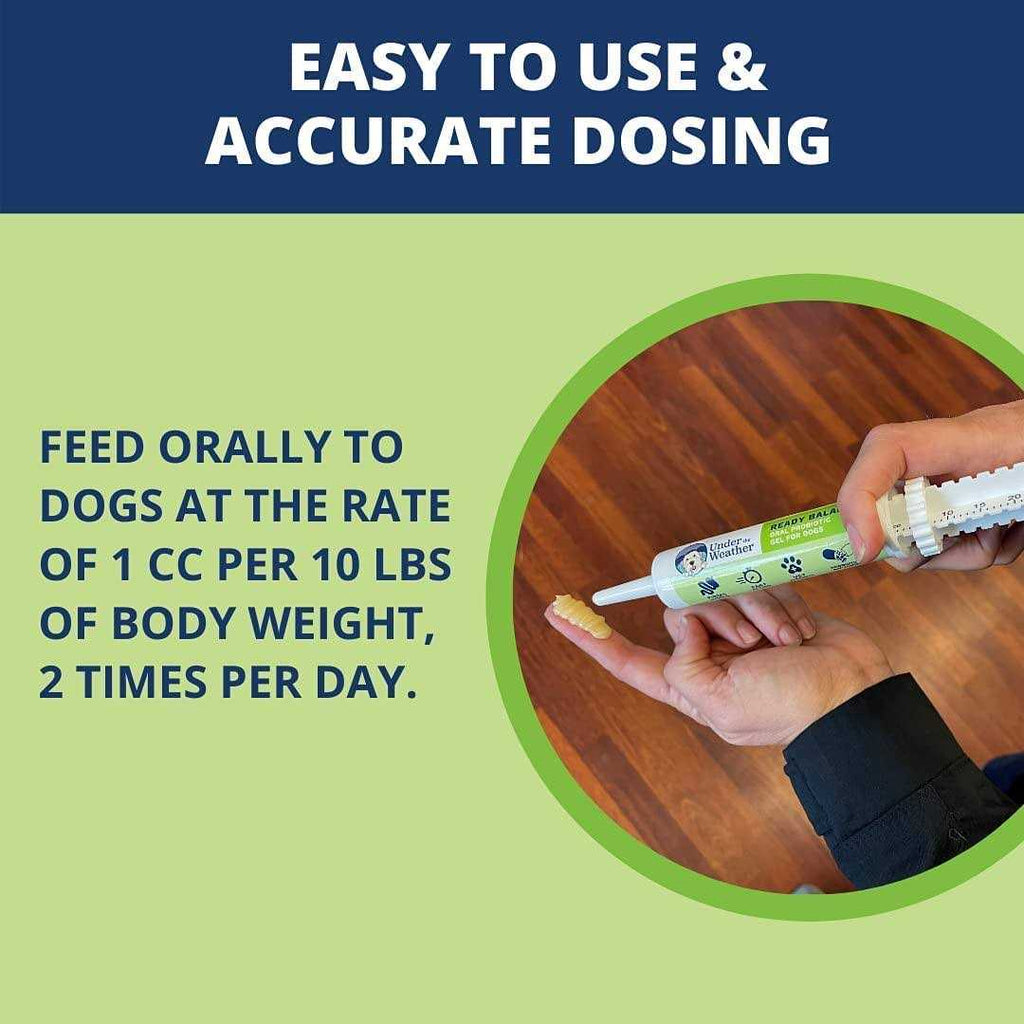 Ready Balance for Dogs P42632