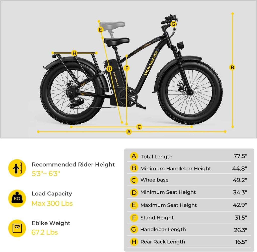 Foldable 20 Fat Tire Electric Bike with 750W Motor B7326
