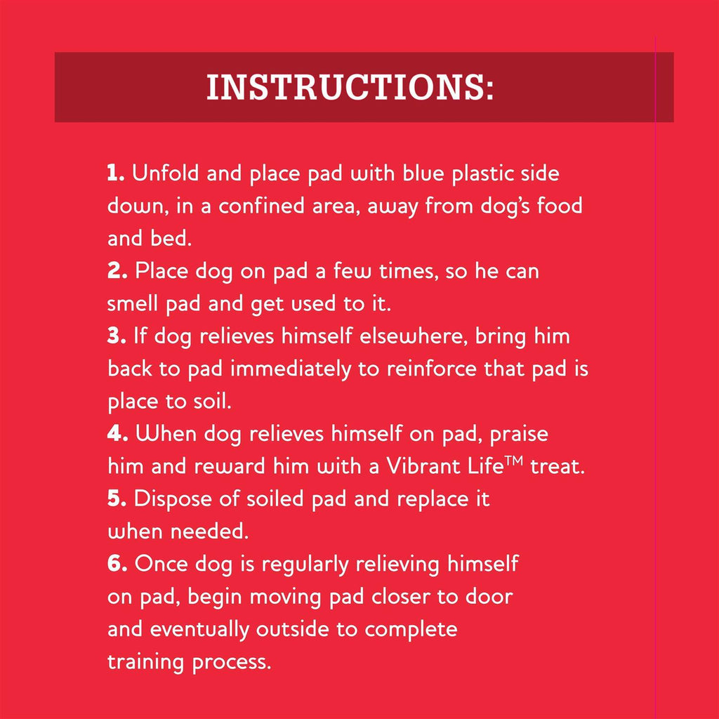 XL Training Pads C3360