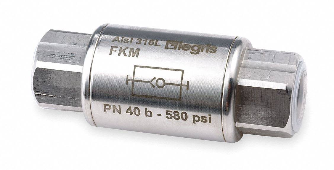 3/8 in 316 Stainless Steel Inline Check Valve, FNPT x FNPT, Pk 2 V74001