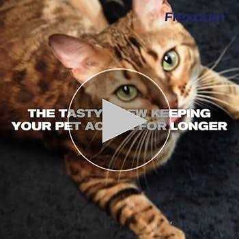 Cat Joint Supplement Chews with UC-II A17169