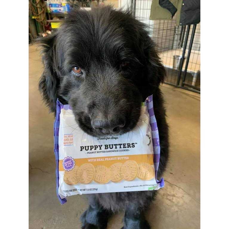 Peanut Butter Dog Treats P465345